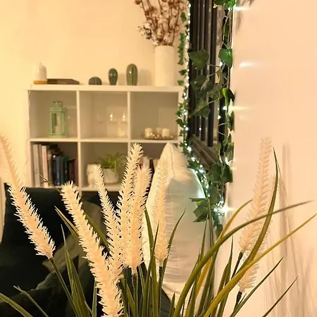 Appartement Petit Cocon Au Cœur D'annecy Annecy