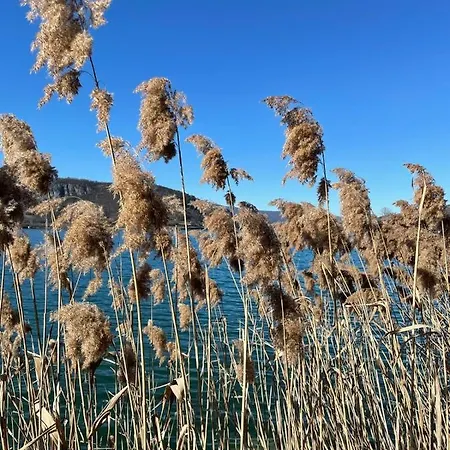 Διαμέρισμα Petit Cocon Au Coeur D'annecy